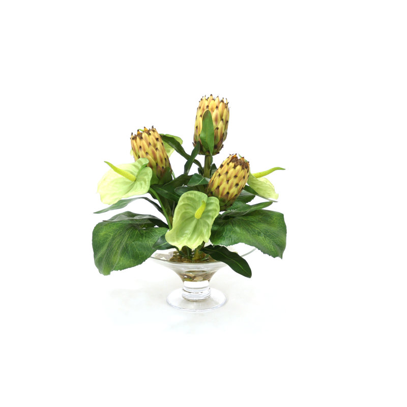 Highgate anthuriums, protease, feuilles en verre, vert
