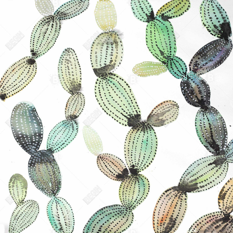 " Cactus Pattern "