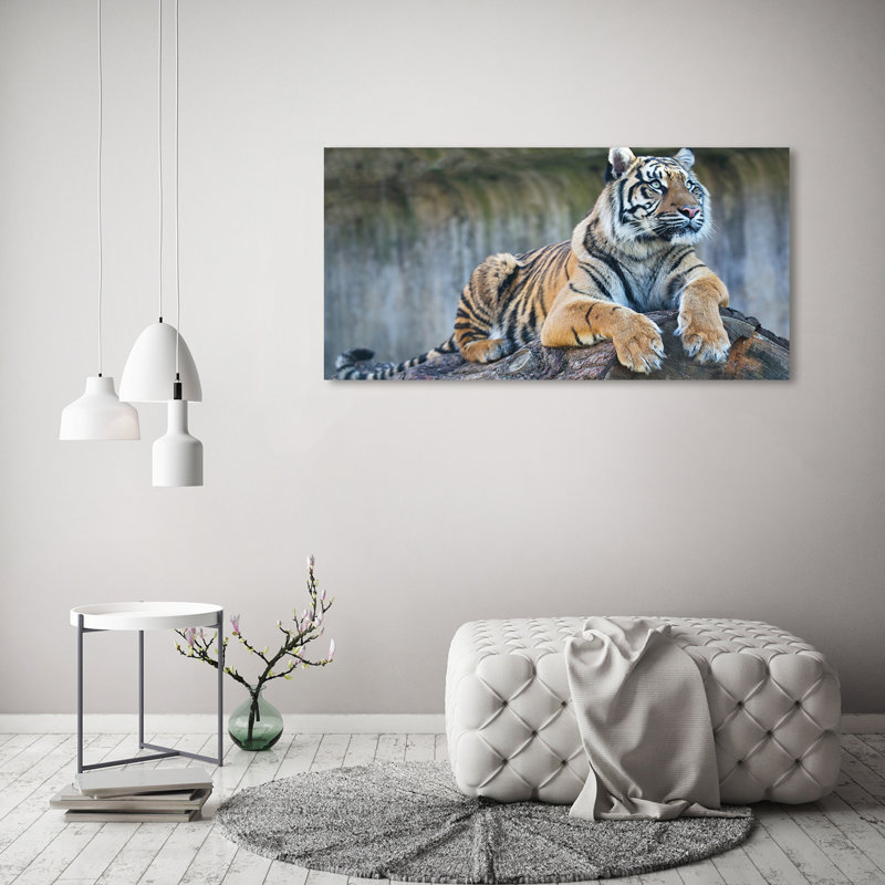 Tiger - Wrapped Canvas Print