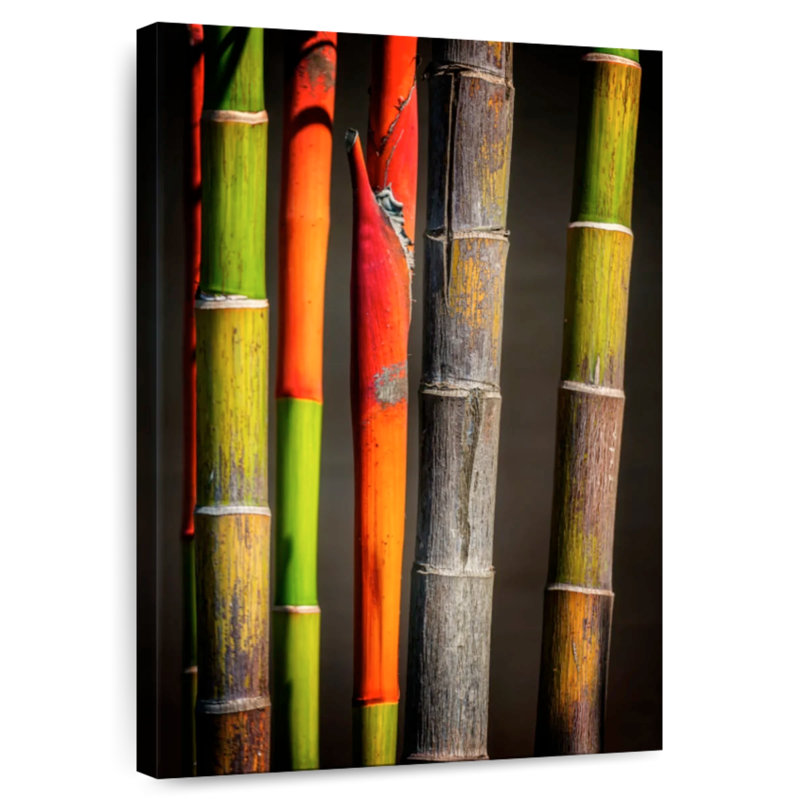 Harnek Bamboo Stems, 12" H x 8" W