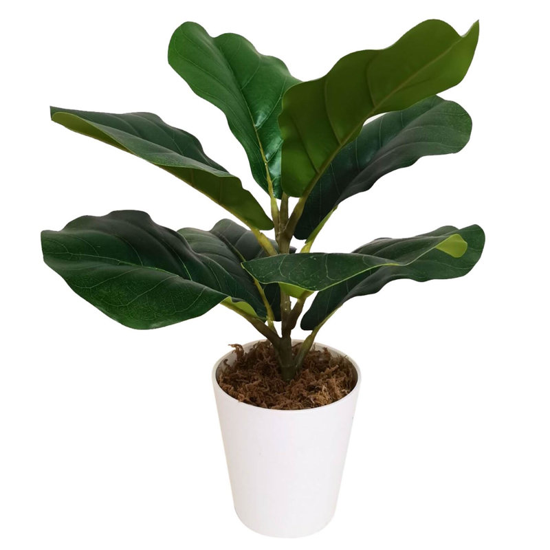Ananias 38cm Faux Foliage Plant in Pot