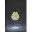 Lanterne Antonucci-1584760401