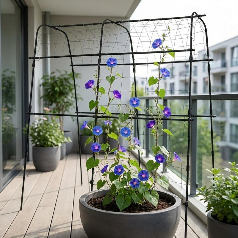 Treillis d'arche de jardin pour lits surélevés, support de plante en forme de U 5,3 x 5,3 pi pour concombres, melons, raisins, roses et légumes grimpants, noir