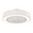 Flush Mount Ceiling Fan Light