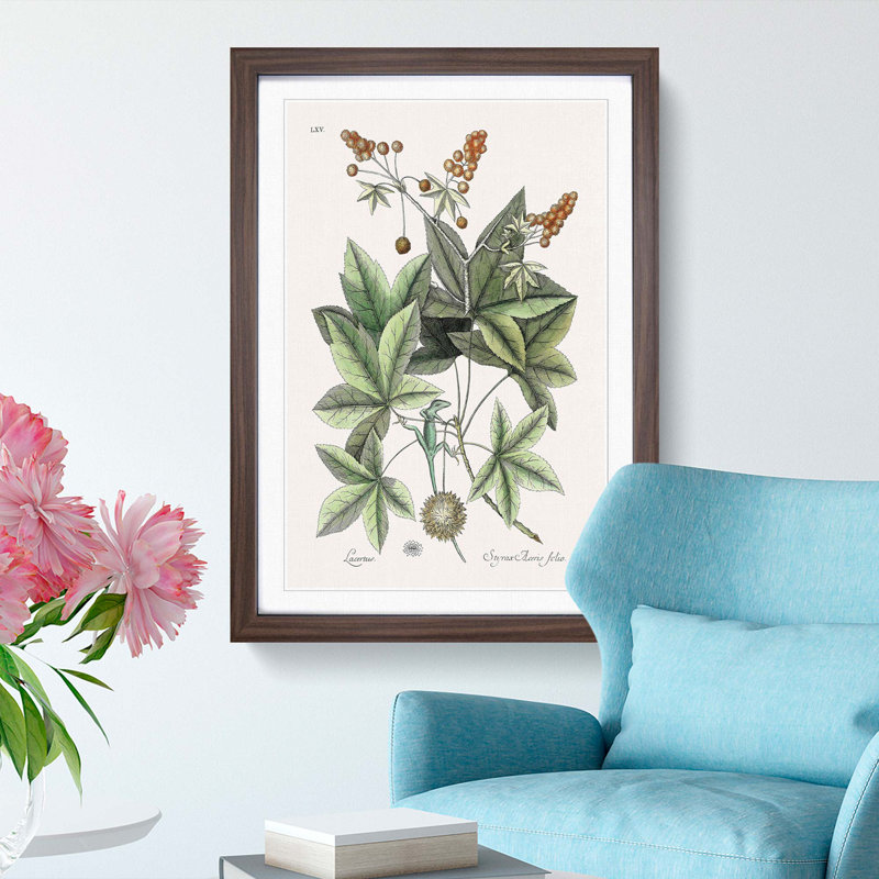 Green Lizard by Mark Catesby - Picture Frame Painting Print, 48cm H x 36cm W x 2cm D, Walnut Framed