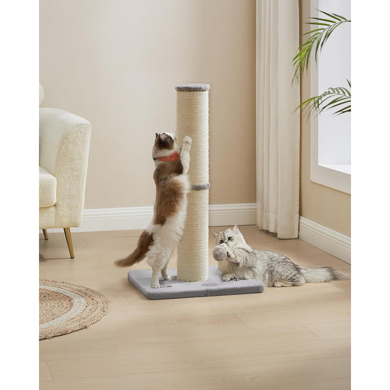Scratching Post