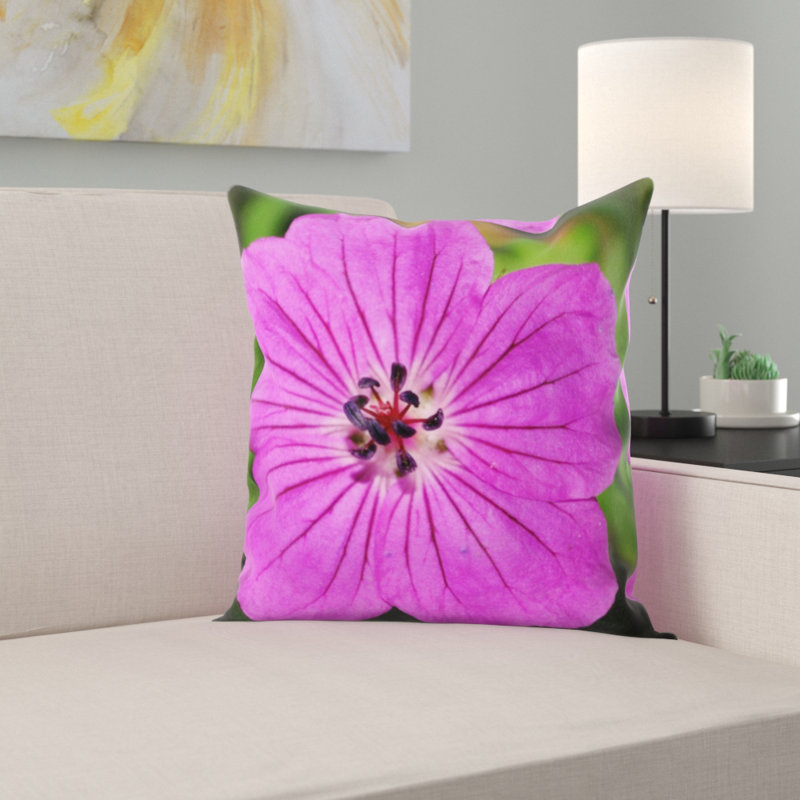 Coussin cranesbill