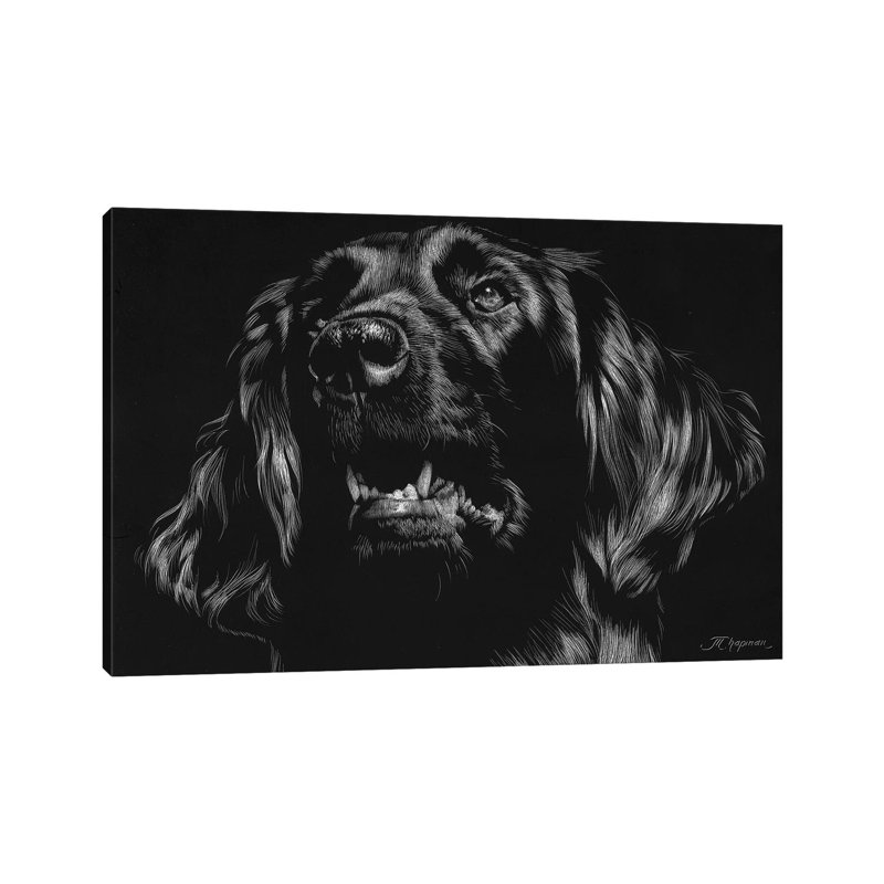 Canine Scratchboard XV by Julie T. Chapman - Wrapped Canvas Print, 20.32 cm H x 30.48 cm W