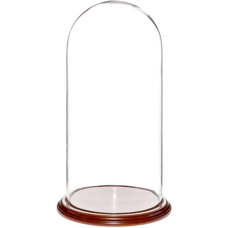 Cloche en verre Vucciria, Base en placage de noyer, H 23 po x l 11,75 po x P 11,75 po