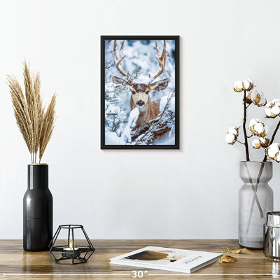 Winter Mule Deer