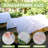 Plant Covers Freeze Protection -105685740