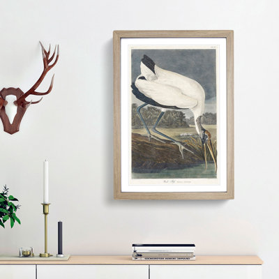 Wood Stork by John James Audubon - Framed Print