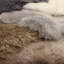 Grady Solid Grey Sheepskin Rug-92396731
