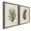 Palm Botanical I - Cadre photo, ensemble de reproductions d'art sur toiles-763922327-763922326