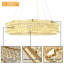 LED Chandelier-349849844-349849845