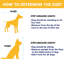 Grands meubles pour cage de chien