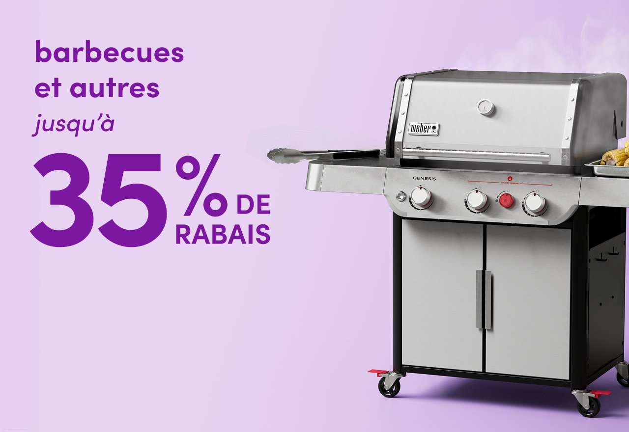 barbecues et autres en solde