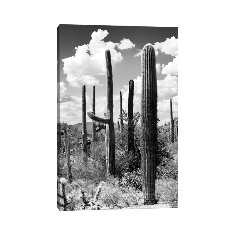 Série noire Arizona - Le Cactus-PHD1502, H 12 po x l 8 po x P 0,75 po