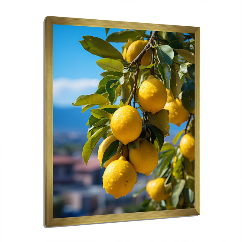 Awalt Italie Sorrento Serenade I sur impression sur toile, H 32 po x l 24 po x P 1 po, Encadrement doré