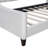 Modern Luxury Tufted Button Daybed-319580197-319580199