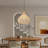 Dormody 1 - Light Natural Dome Pendant-740754157