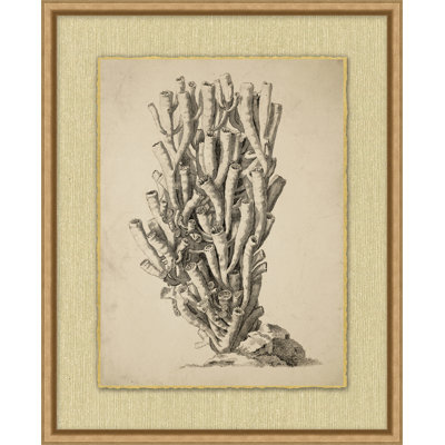 Sepia Sealife " Sepia Sealife 10 "