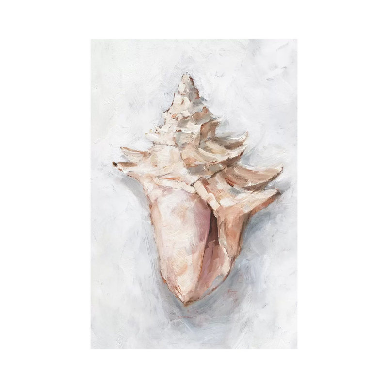 "White Shell Study I" par Ethan Harper, reproduction d’art, Pas de tapis, H 26 po x l 18 po x P 1,5 po, Toile tendue