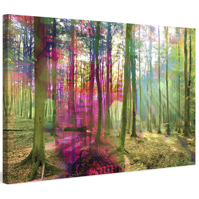 Parvez Taj - Wrapped Canvas Print, 76cm H x 114cm W