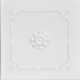 SAMPLE-SAMPLE - Bourbon Street Glue-Up Ceiling Tile in White