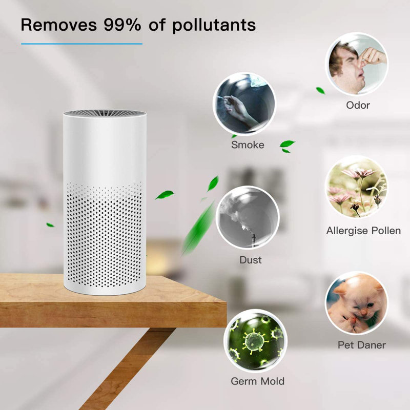 Purificateur d'air portable avec filtre HEPA