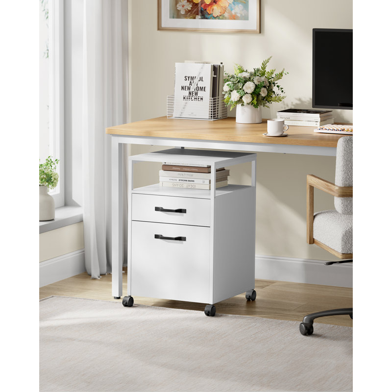Brixton 41cm Wide 2 -Drawer Mobile File Cabinet, Cloud White