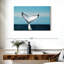 Baleine Brampt