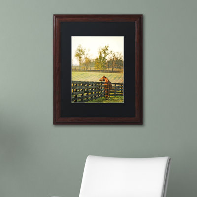 " Kentucky Horse Sunrise " by Preston