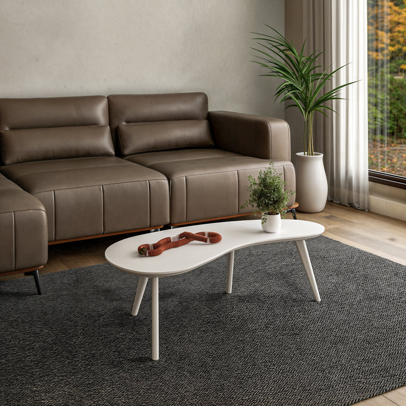 Chandrima Modern Abstract Coffee Table, White