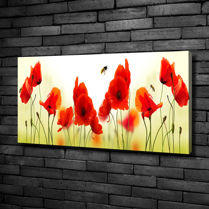Maki - Wrapped Canvas Print