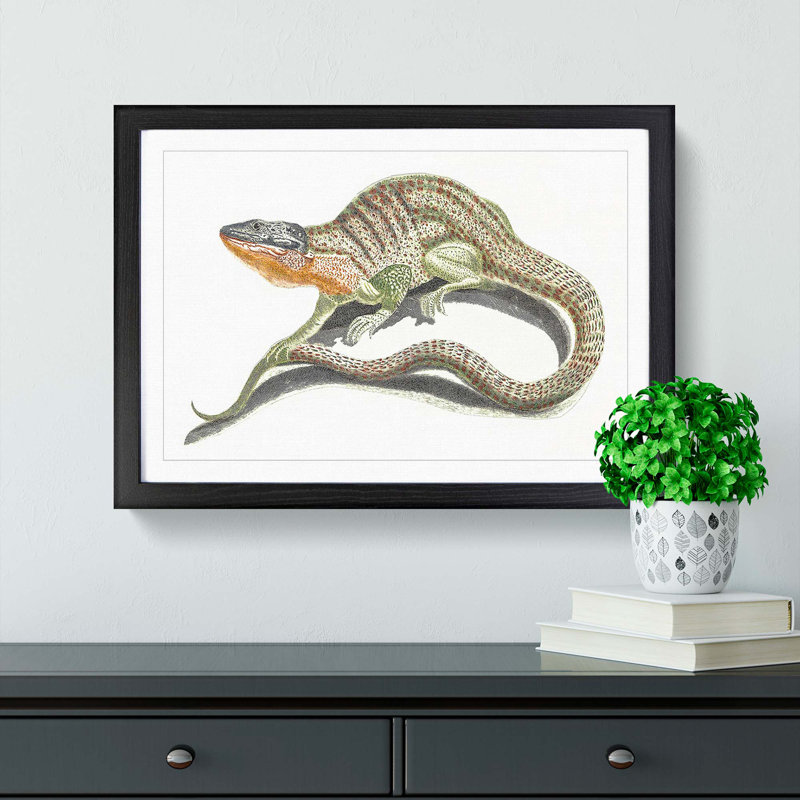 Lizard by Johan Teyler - Framed Print, 36cm H x 48cm W x 2cm D, Black Framed
