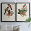 Ensemble de 2 reproductions sur toile Elegant Trogons-475934264-475934271