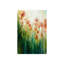 Watercolor Poppy Field Painting by Rikki Drotar-26948464-26948465