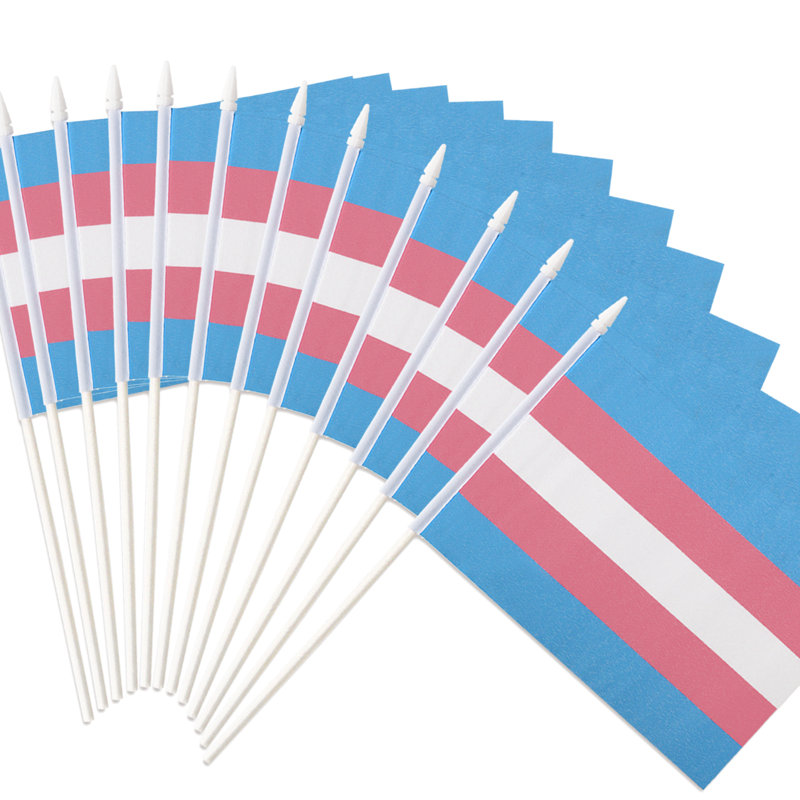 Paquet de 12 mini-drapeaux Anley Transgender