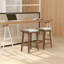 Neosha Counter Stool with Solid Wood Frame