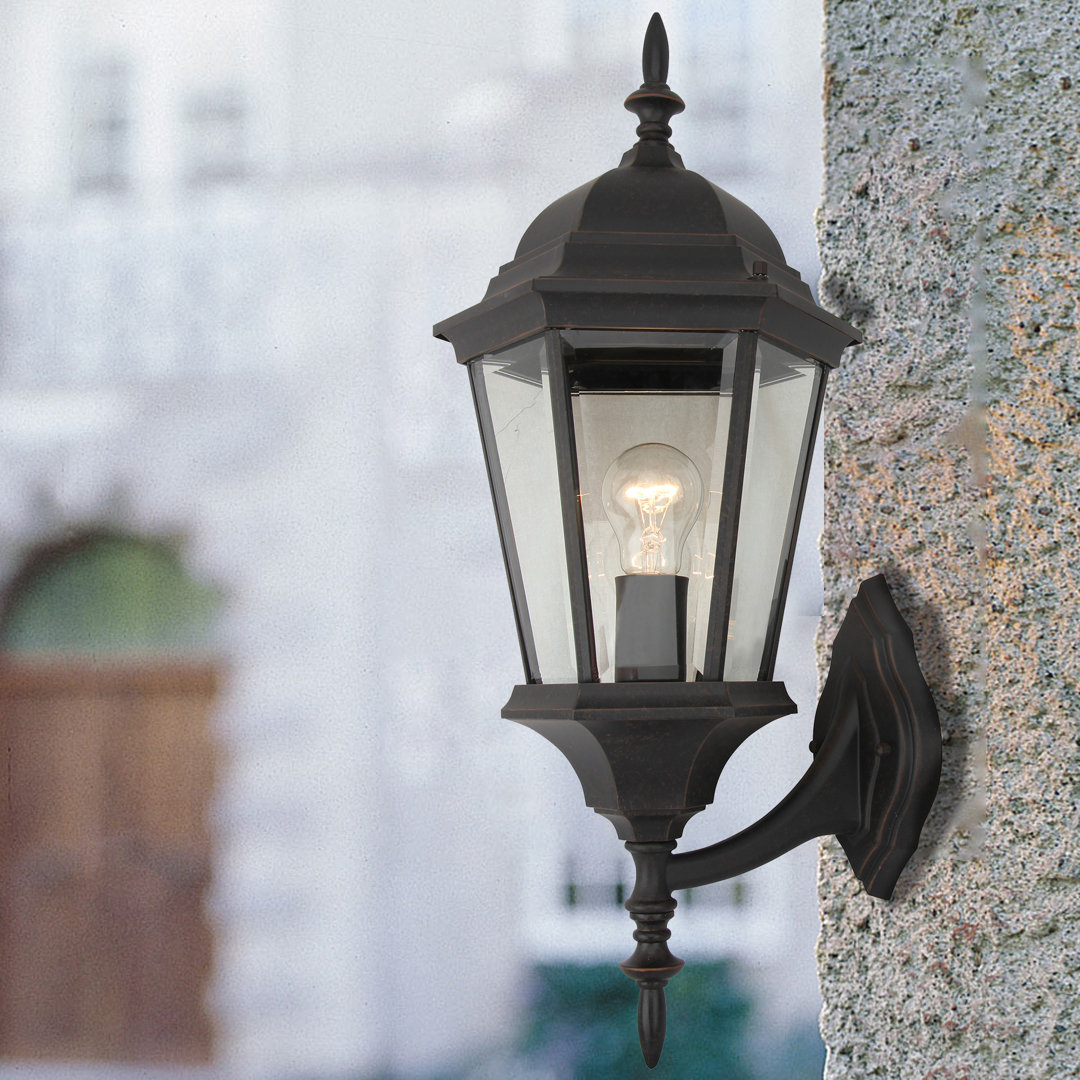 Carmelo Outdoor Wall Lantern Alcott Hill® Fixture 