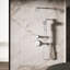 Occasion Single-Function 2.5 Gpm Handshower-282655950