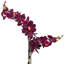 Phalaenopsis artificiel en pot 22 po Karelis-462425076