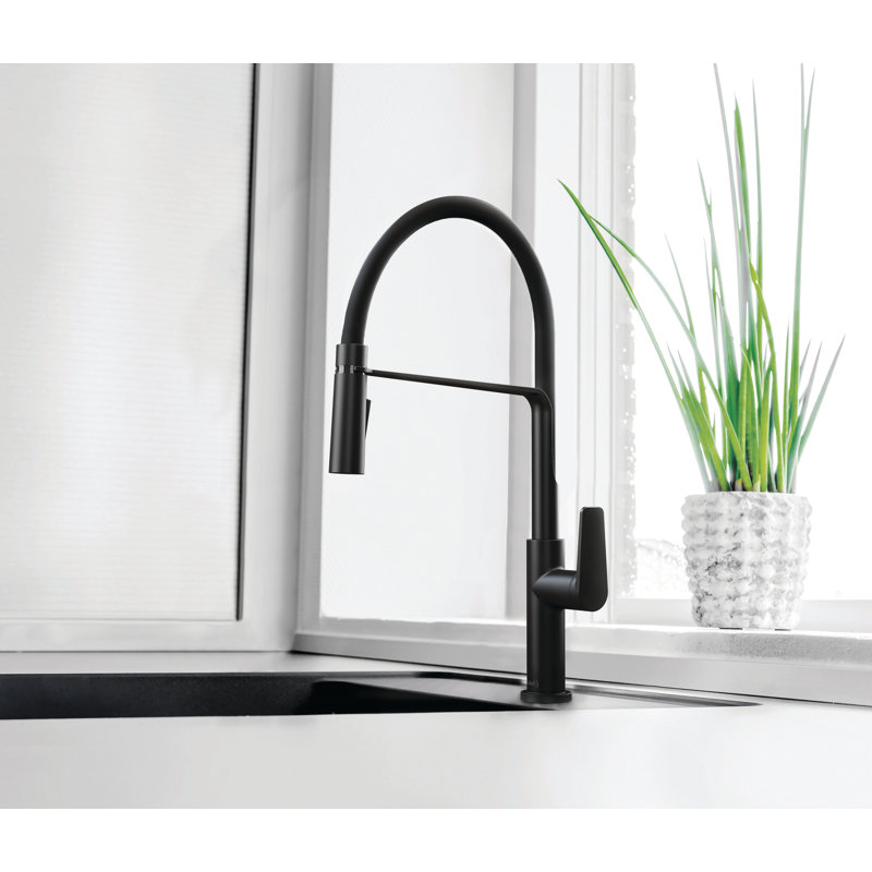 Mythic Pre-Rinse Kitchen Faucet, Black