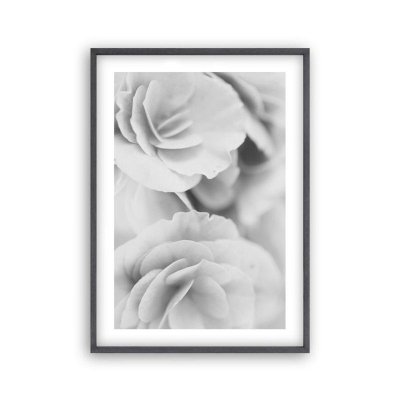 Print, Black Oak Frame, 41 cm H x 31 cm W x 2.5 cm D