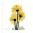 " Golden Gerbera 2 "-1184622348