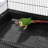 Gabbert 53.5'' Iron Play Top Floor Bird Cage with Wheels-1336482959