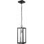 Luminaire suspendu d'extérieur 1 lumière, noir mat, abat-jour en verre transparent, douille E26, îlot de cuisine, café, luminaire suspendu au plafond, moderne, rétro, véranda, ampoule non incluse