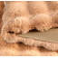 Tapis pour chat Cat-99189480