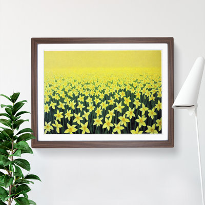 Daffodil Field - Framed Print